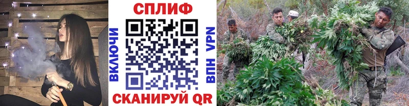 Цена Сольвычегодск mega сайт  A PVP  Псилоцибиновые грибы 