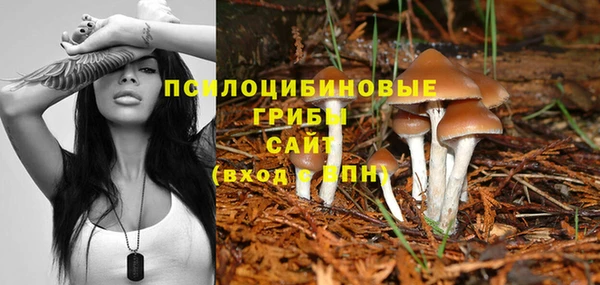 прущие грибы Алексеевка