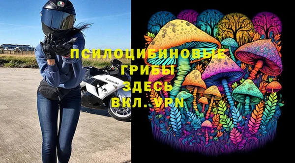 СК Алзамай