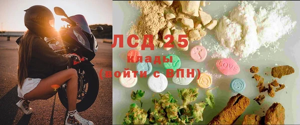 прущие грибы Алексеевка