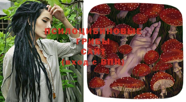 скорость Арсеньев