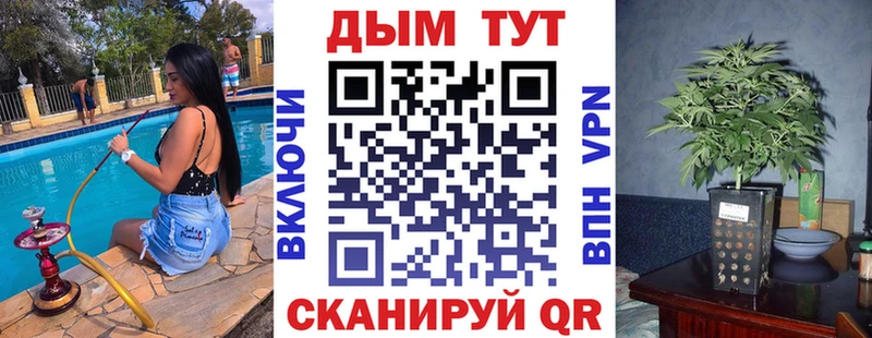 Марихуана SATIVA & INDICA  где купить наркоту  Сольвычегодск 